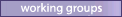 Working Groups